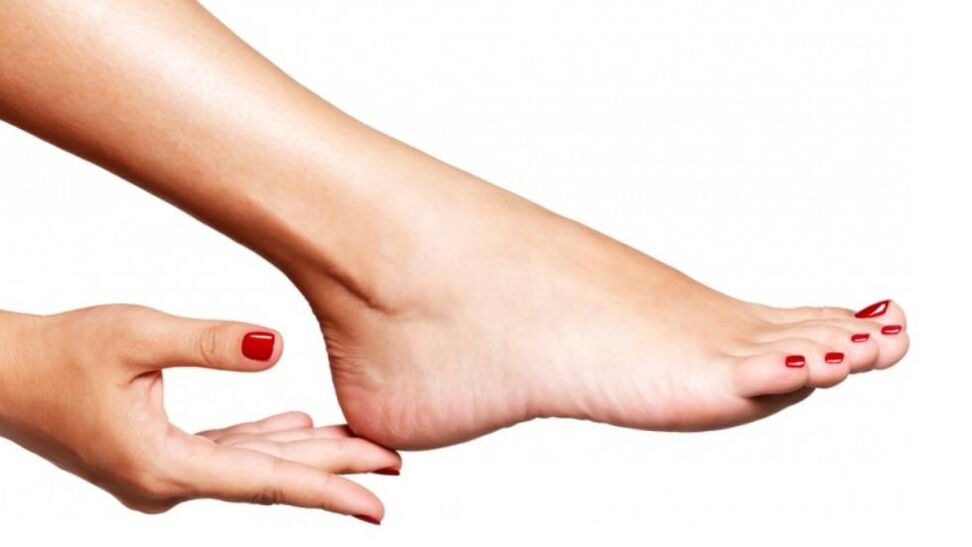 FUET UTILIZARE din ciupercă